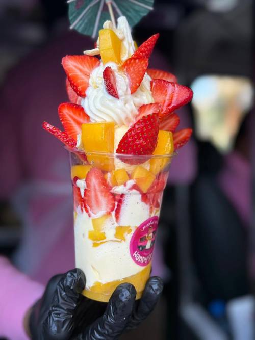 Classic Organic Shikaf Kuwaiti Vanilla Bean Ice Cream